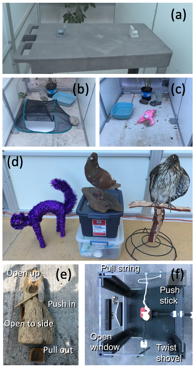 急速な生息域拡大に関与する探査・分散特性の特定(Exploration and dispersal are key traits involved in a rapid range expansion)